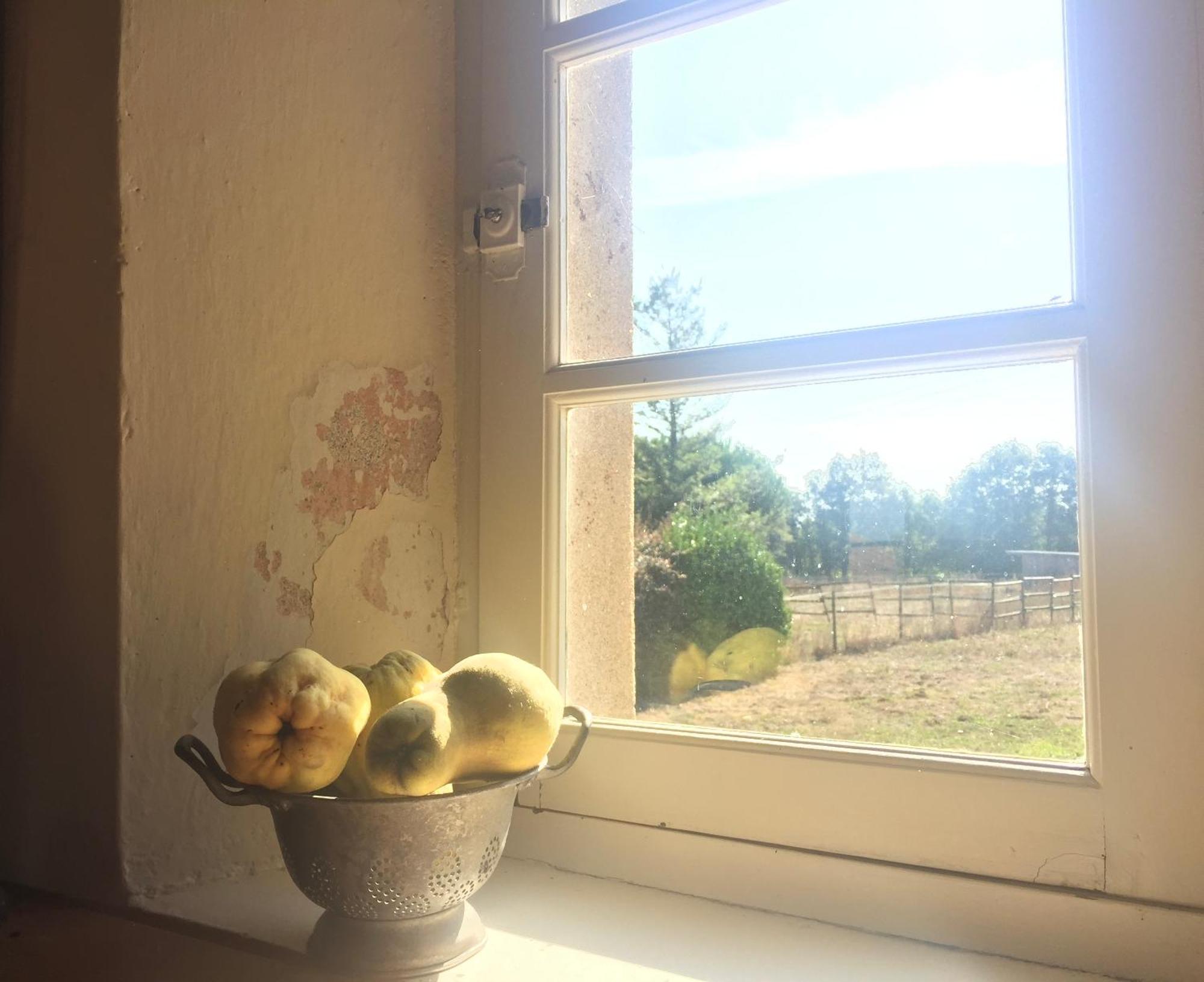Villa La Brionniere Aizenay Esterno foto